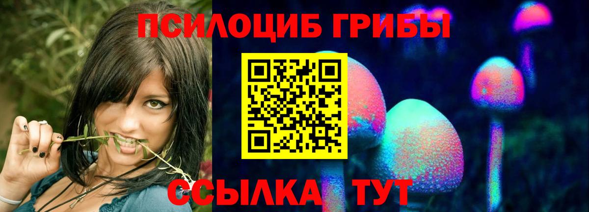 Богородицк  Псилоцибиновые грибы MAGIC MUSHROOMS  Псилоцибиновые грибы Cubensis  где найти   Вход с VPN 
